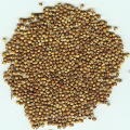 New Crop /High Quality Coriander Seeds